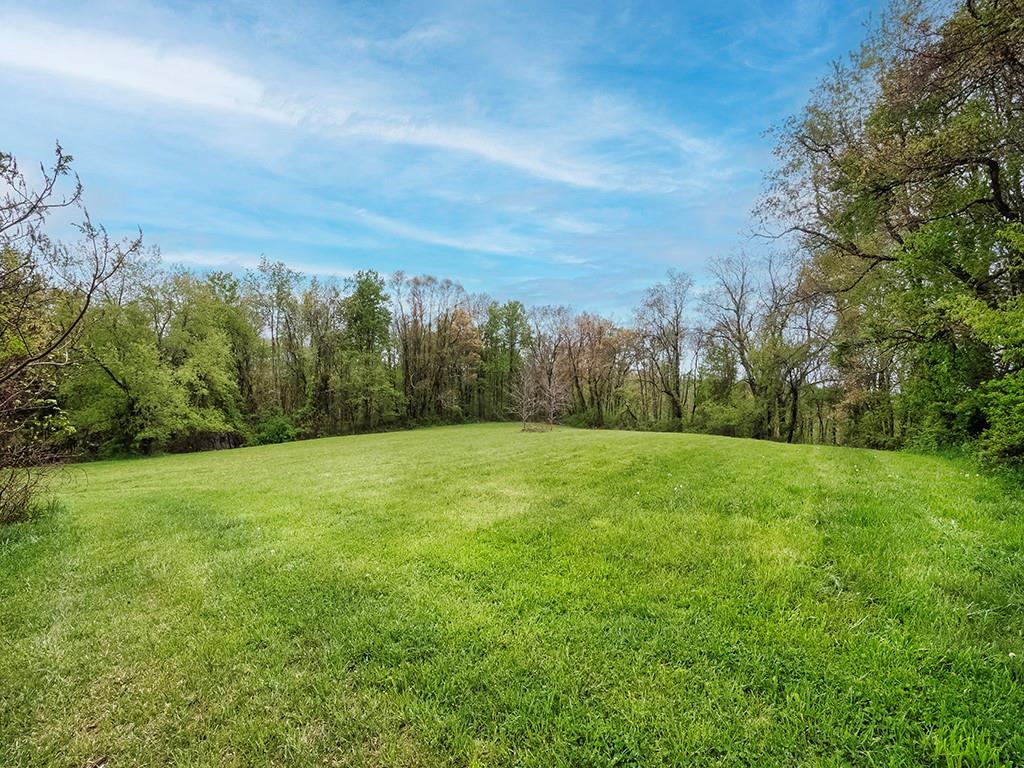 353 Thompson Hill Road Aliquippa, PA 15001 - Photo 50 of 50 Lower Pasture