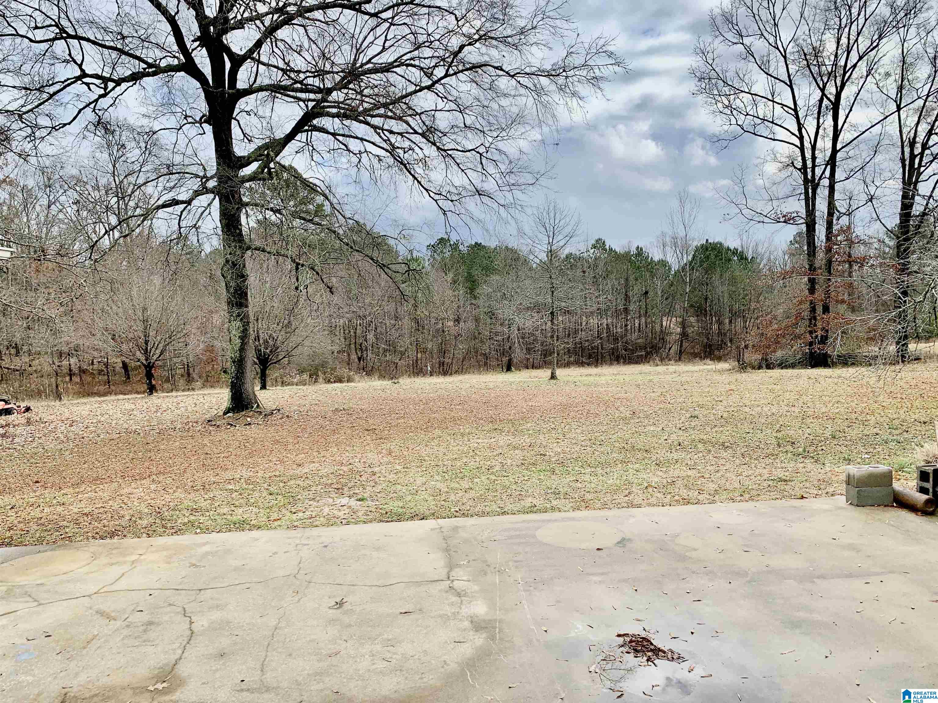 880 Whisenant Road Ohatchee, AL 36271 - Photo 31 of 32