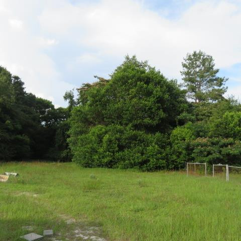 511 Old Manning Road Sumter, SC 29150 - Photo 3 of 7 Gallery Image 3