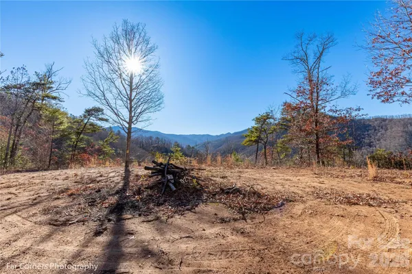 a view of a dry yard with trees