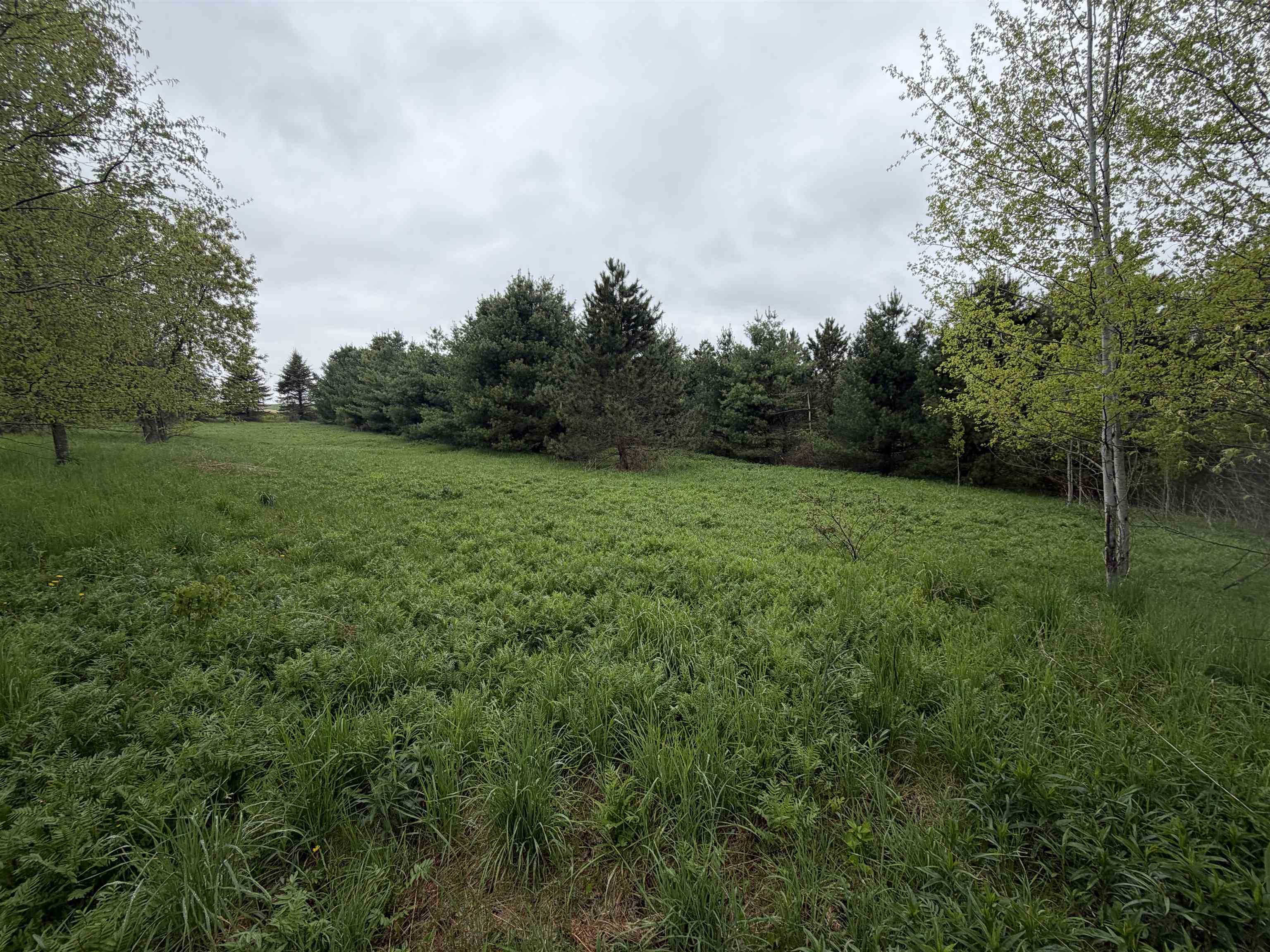 5755 350th Street Stanley, WI 54768 - Photo 16 of 16