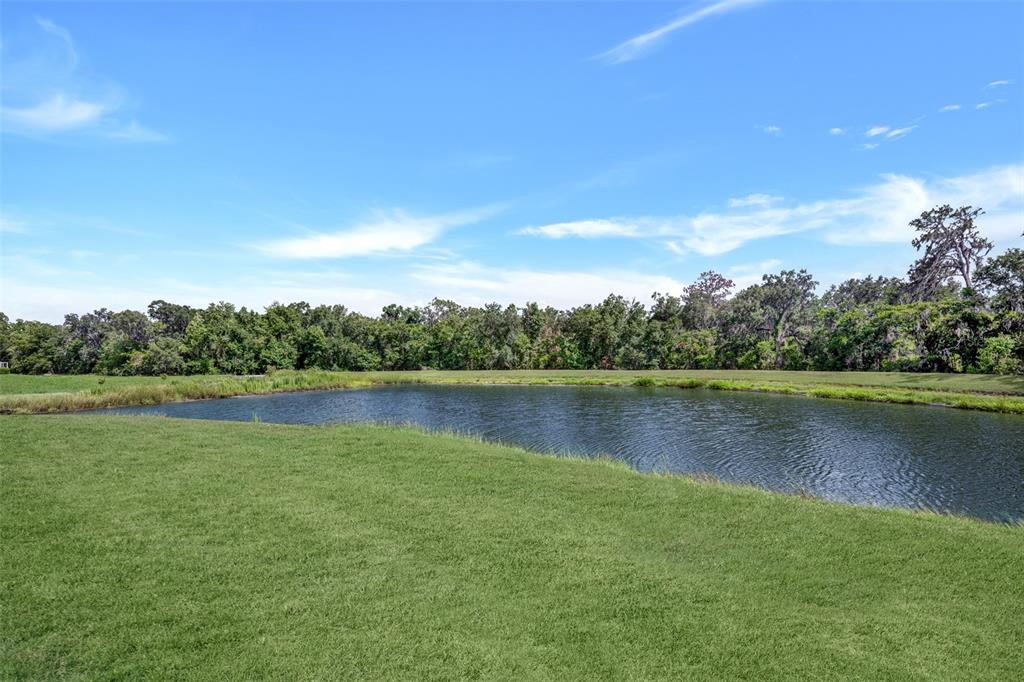 5842 Fishhawk Ridge Drive Lithia, FL 33547 - Photo 38 of 59