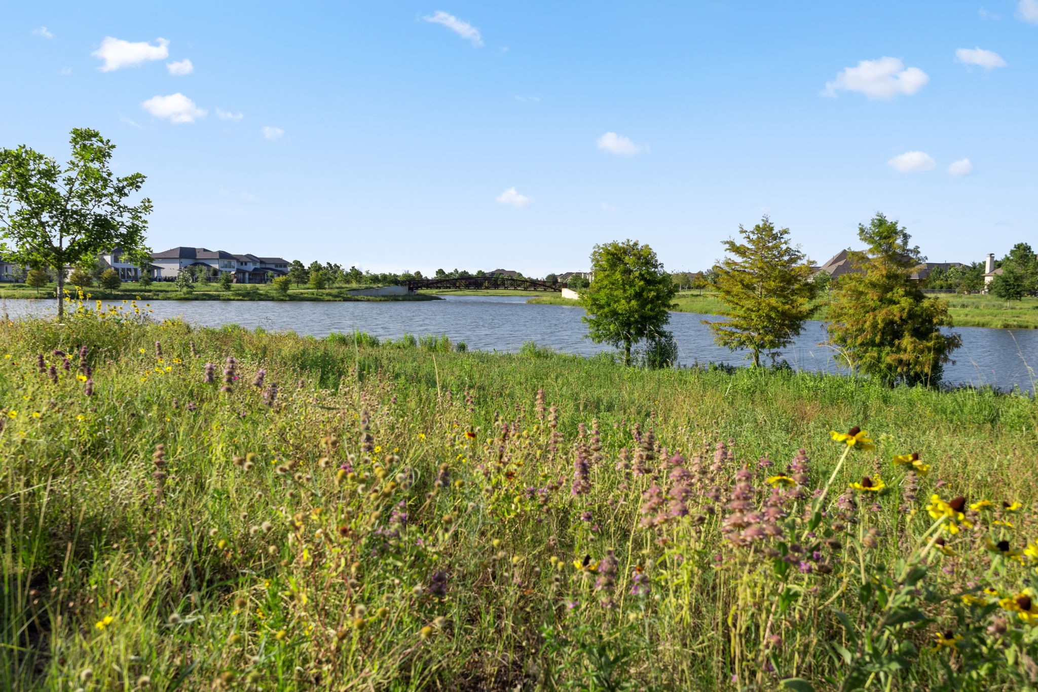 16239 Rattlesnake Run Trail Cypress, TX 77433 - Photo 32 of 37