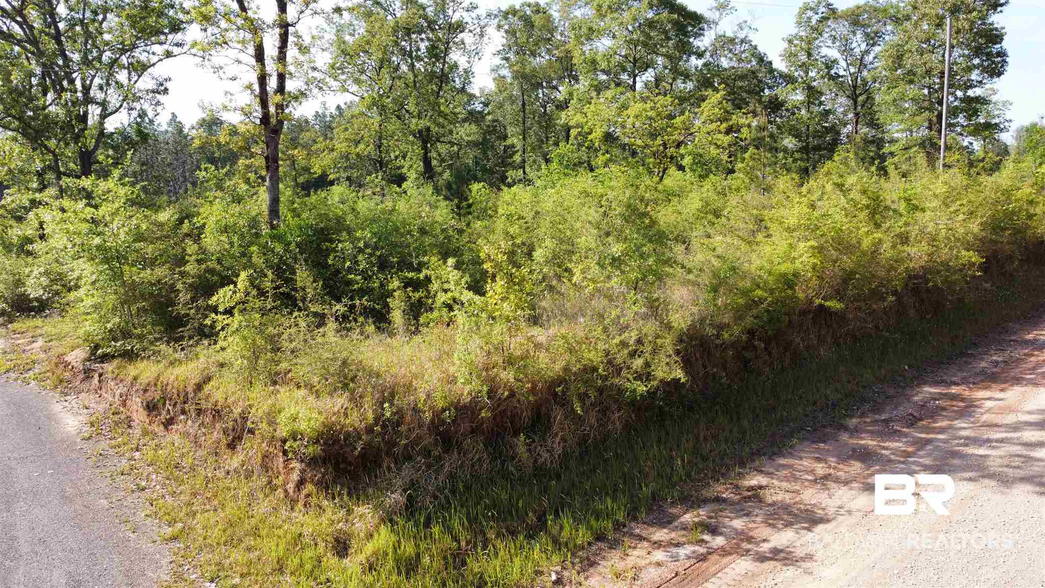 11835 Maddox Road Chunchula, AL 36521 - Photo 2 of 3
