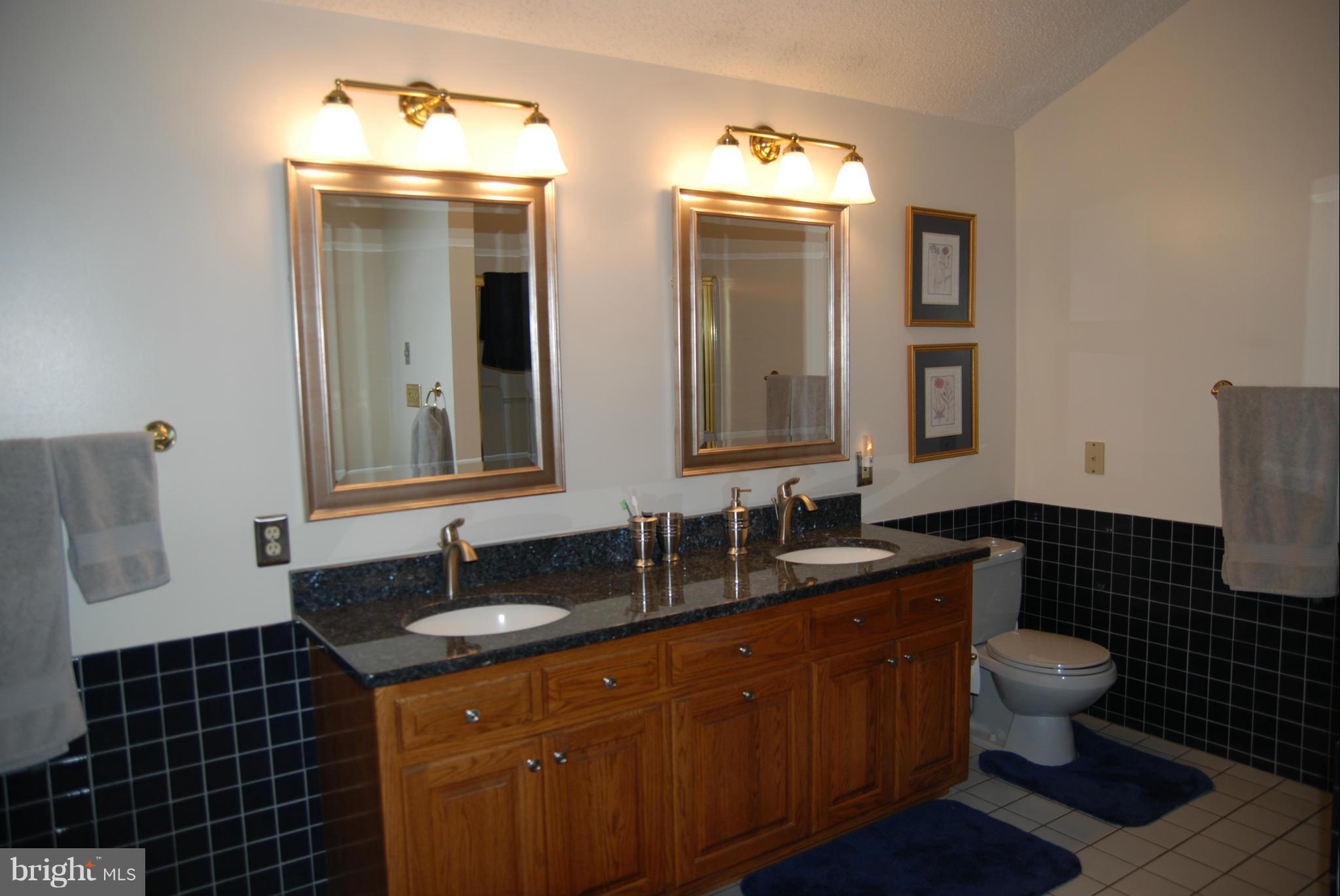 45360 Clarks Mill Road Hollywood, MD 20636 - Photo 14 of 29 Bath (Master)