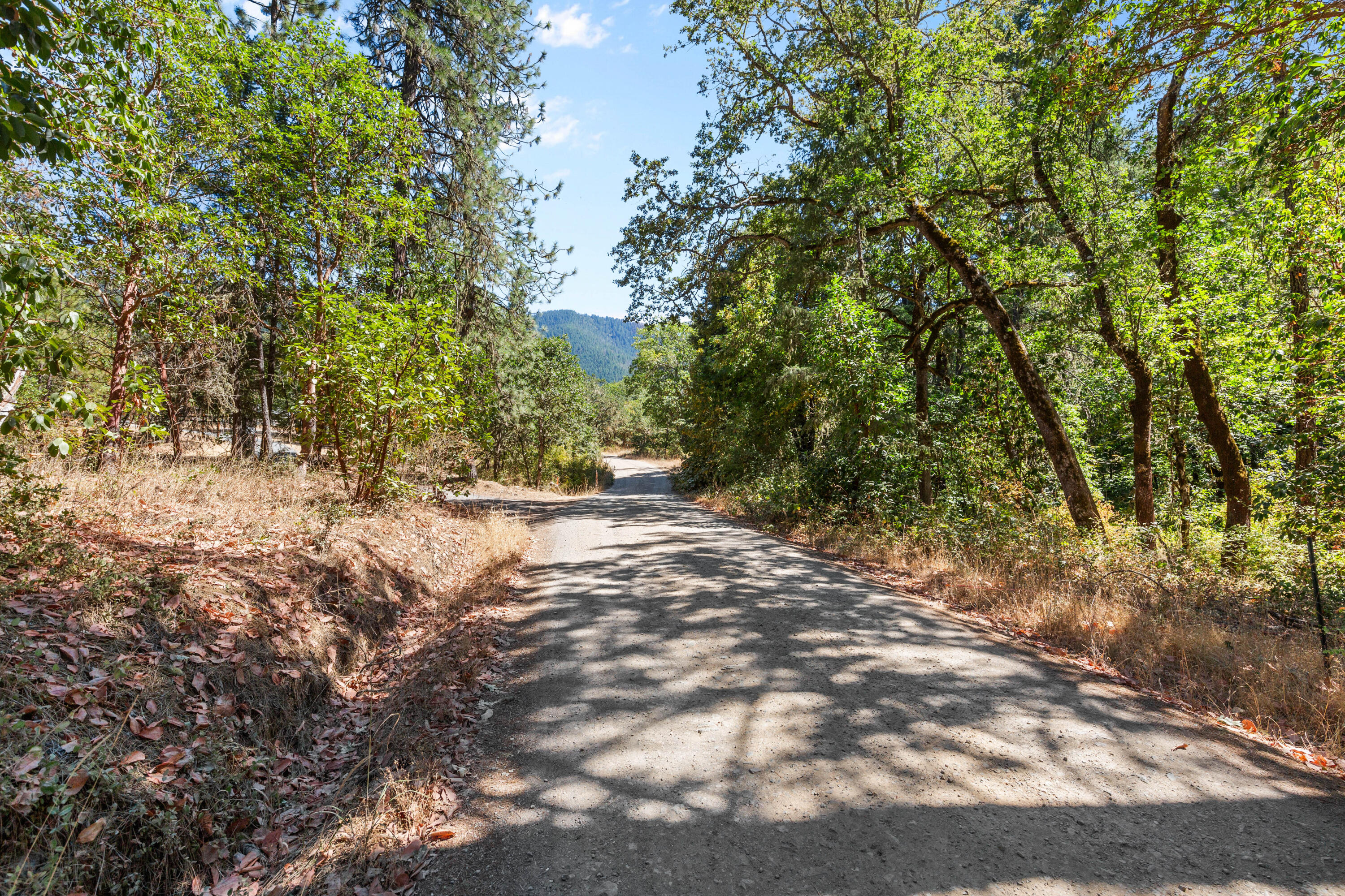 0 Hogan Road Jacksonville, OR 97530 - Photo 3 of 10 a view of forest view