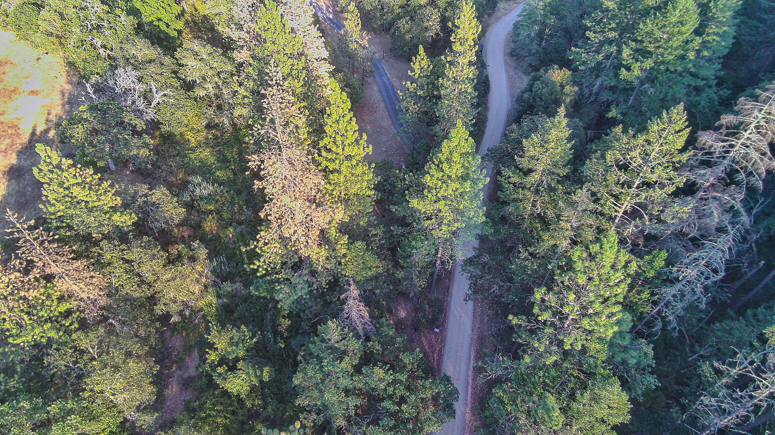 0 Hogan Road Jacksonville, OR 97530 - Photo 10 of 10 an aerial view of a forest with houses