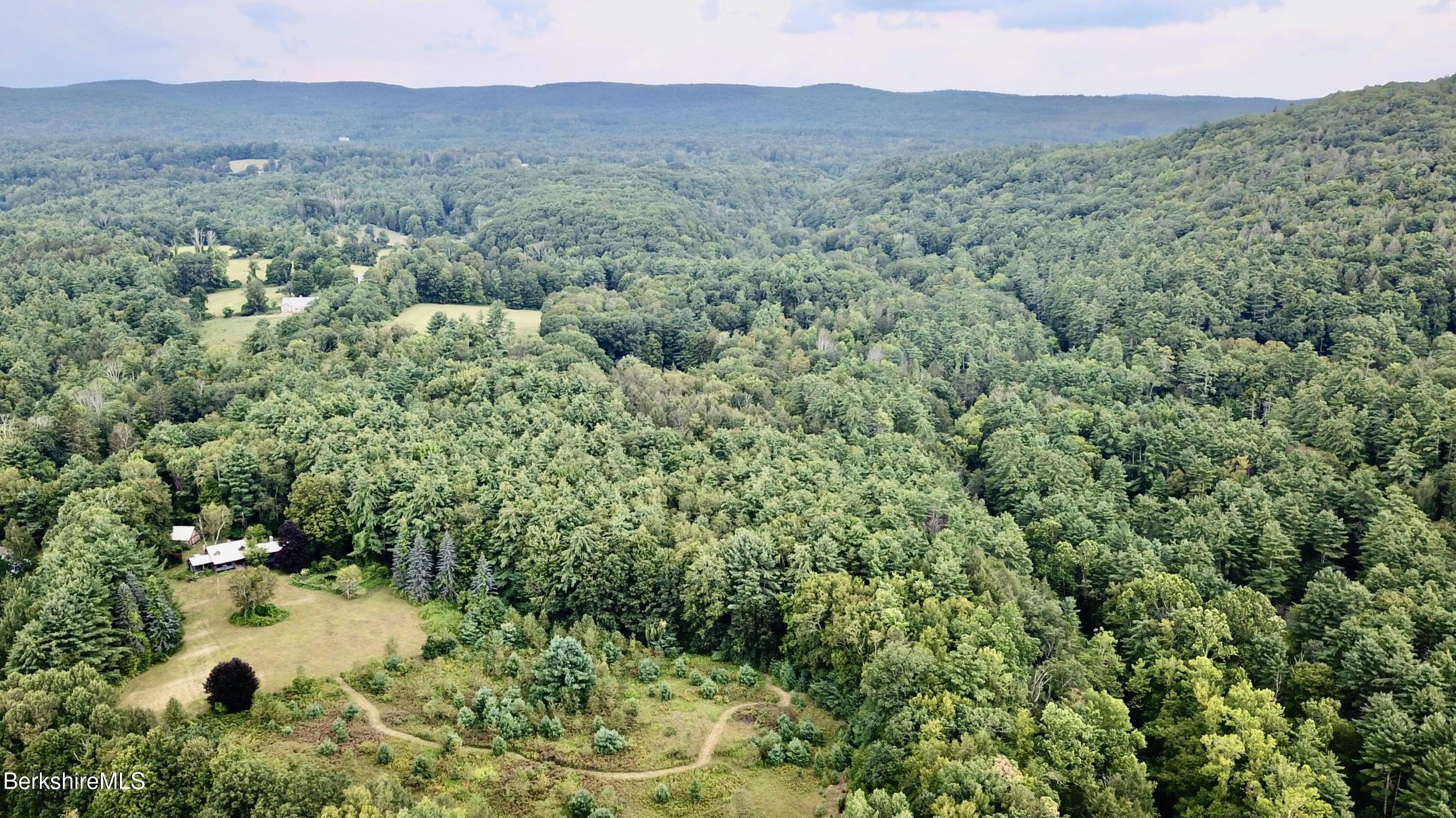 76 Corashire Road New Marlborough, MA 01230 - Photo 30 of 31 a view of a forest with a sink
