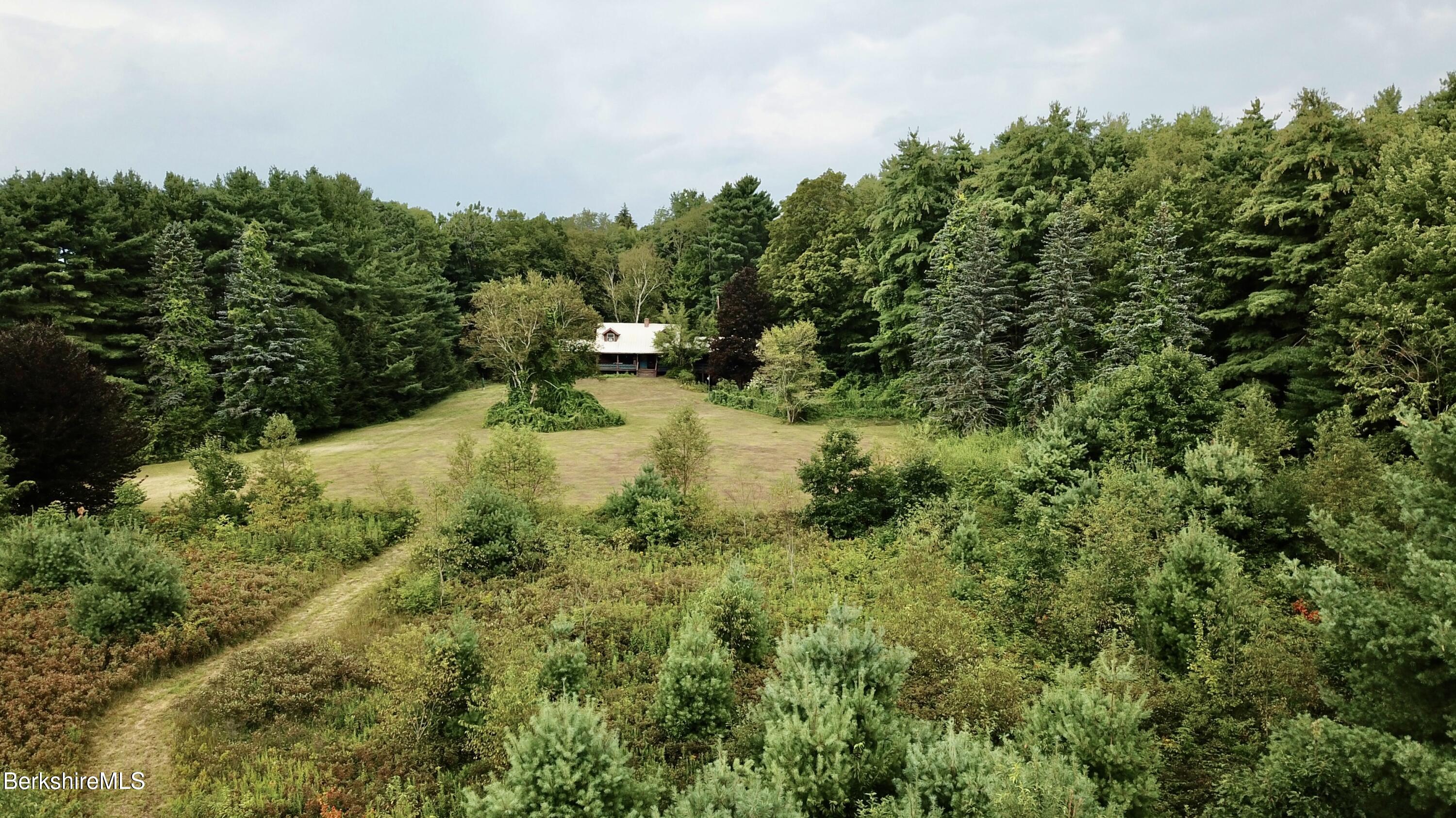 76 Corashire Road New Marlborough, MA 01230 - Photo 4 of 31 a view of a yard with large trees