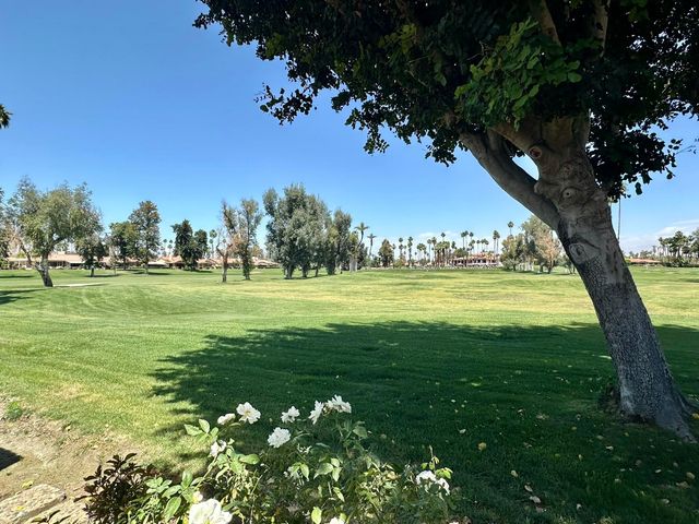a view of a golf course with a garden