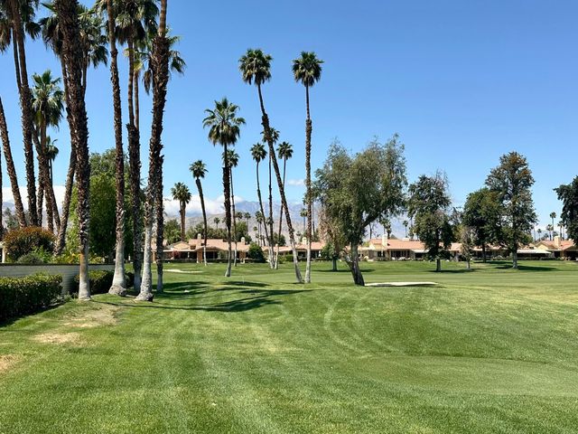 a view of a park with palm trees