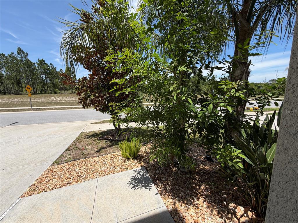 3816 Hanover Drive New Port Richey, FL 34653 - Photo 61 of 73
