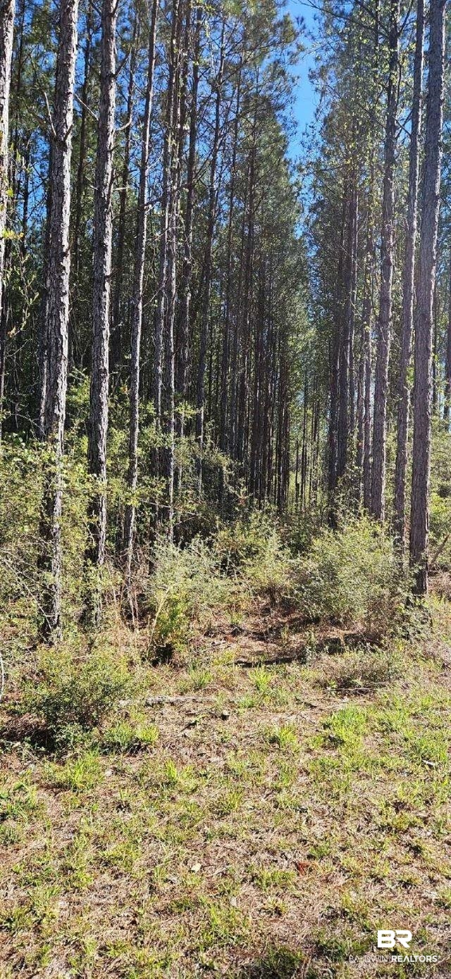 27861 New Hope Church Road Robertsdale, AL 36567 - Photo 18 of 29 View of local wilderness
