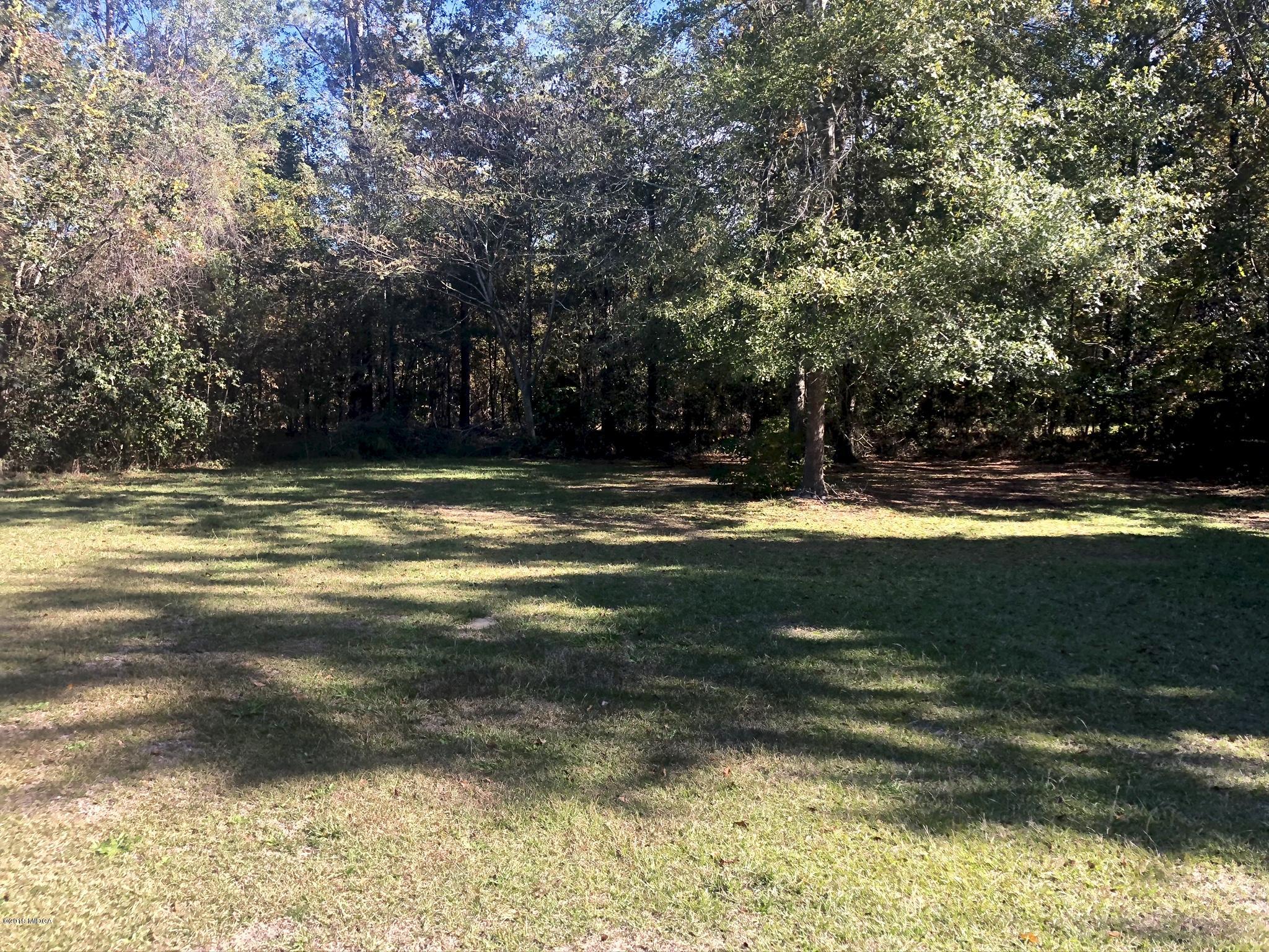 137 Deer Ridge Drive Lizella, GA 31052 - Photo 24 of 26 IMG_6277