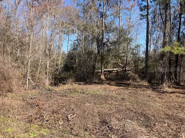 a backyard of a house with a large tree