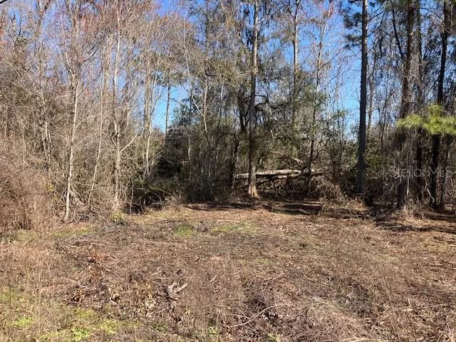 $69,900 | 1881 Hazelnut Street, Bunnell, FL 32110