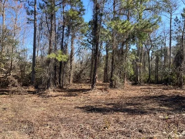 $69,900 | 1881 Hazelnut Street, Bunnell, FL 32110