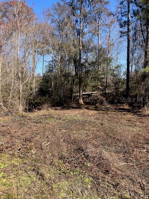 1881 Hazelnut Street Bunnell, FL 32110 - Photo 4 of 6