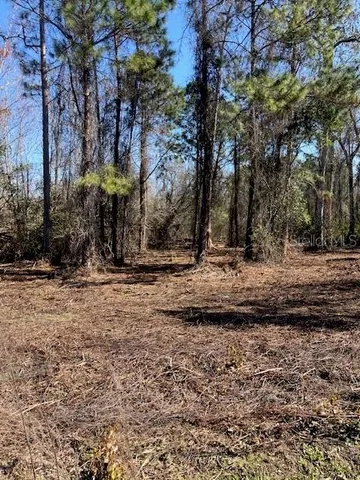 $69,900 | 1881 Hazelnut Street, Bunnell, FL 32110