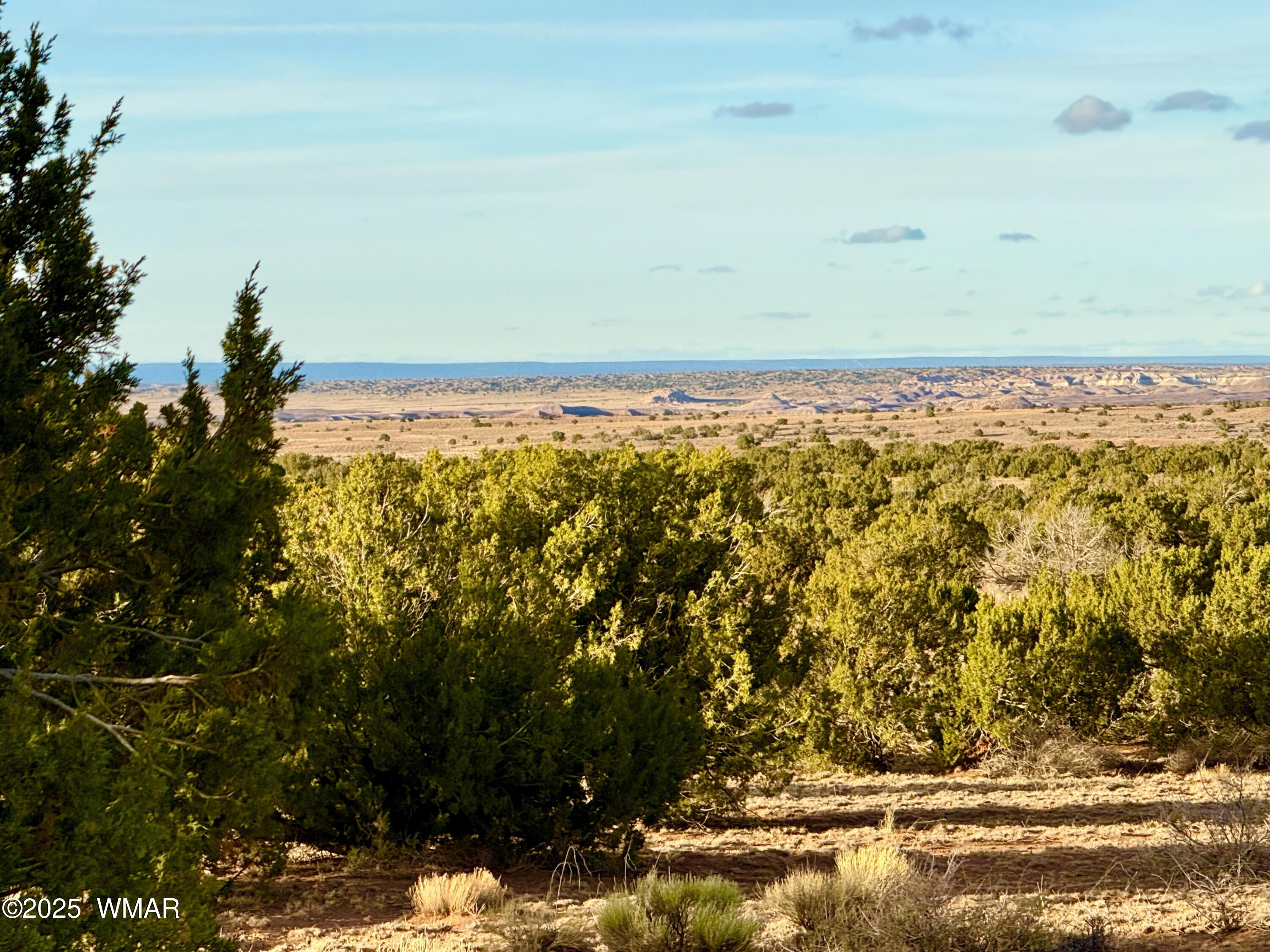 480 County Rd N6400 St. Johns, AZ 85936 - Photo 14 of 26 IMG_3215