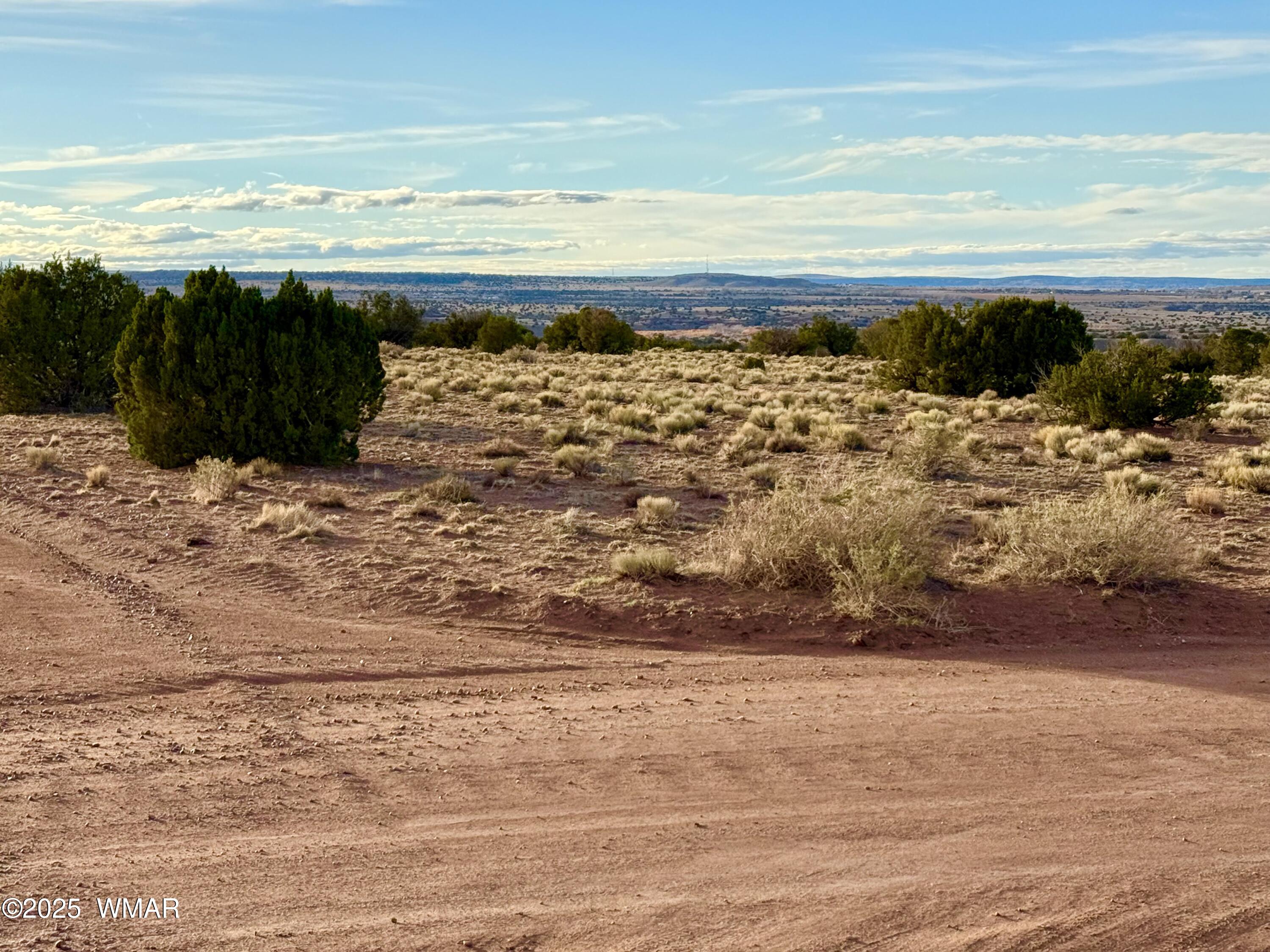 480 County Rd N6400 St. Johns, AZ 85936 - Photo 19 of 26 IMG_3183