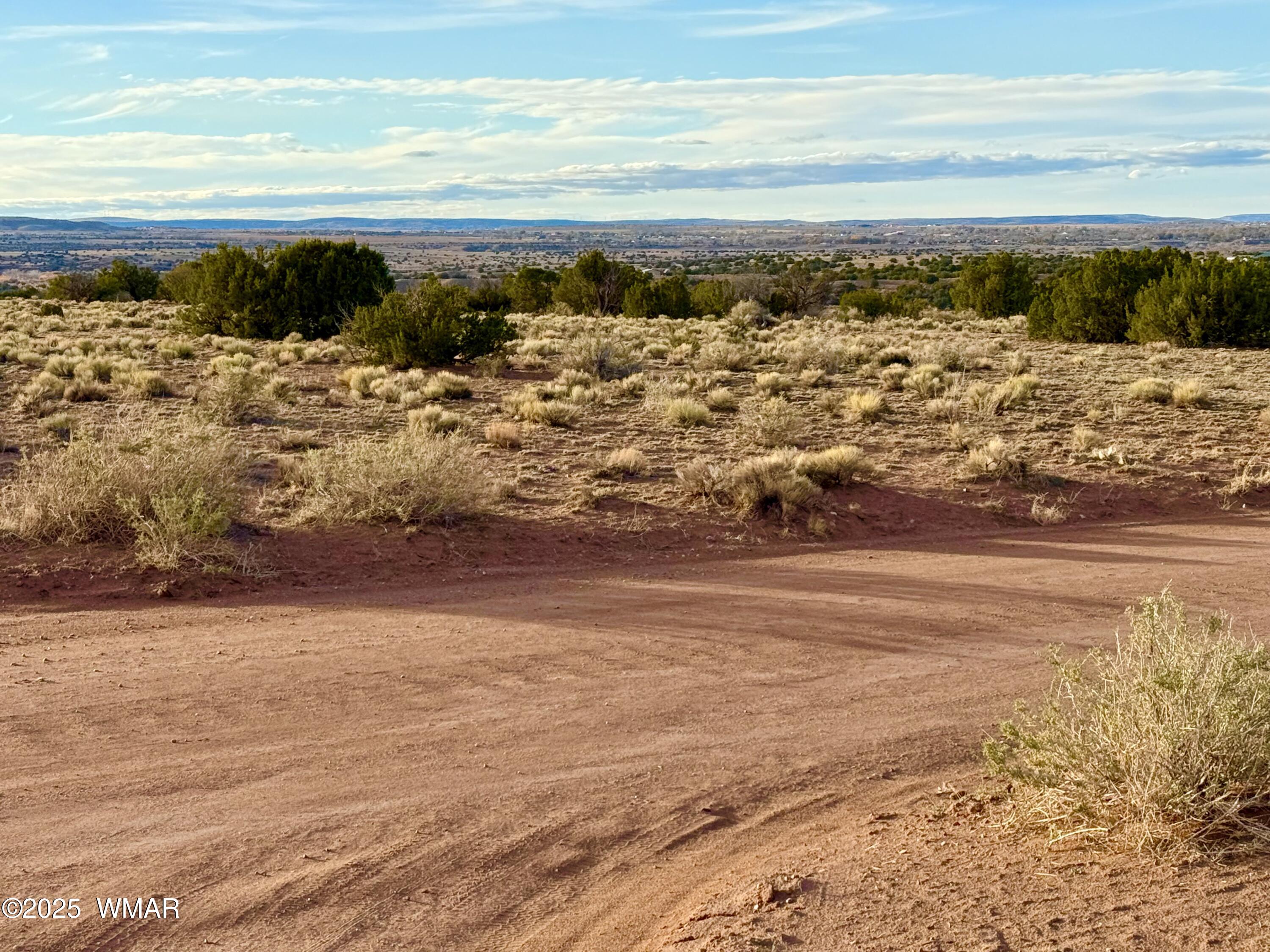 480 County Rd N6400 St. Johns, AZ 85936 - Photo 21 of 26 IMG_3181