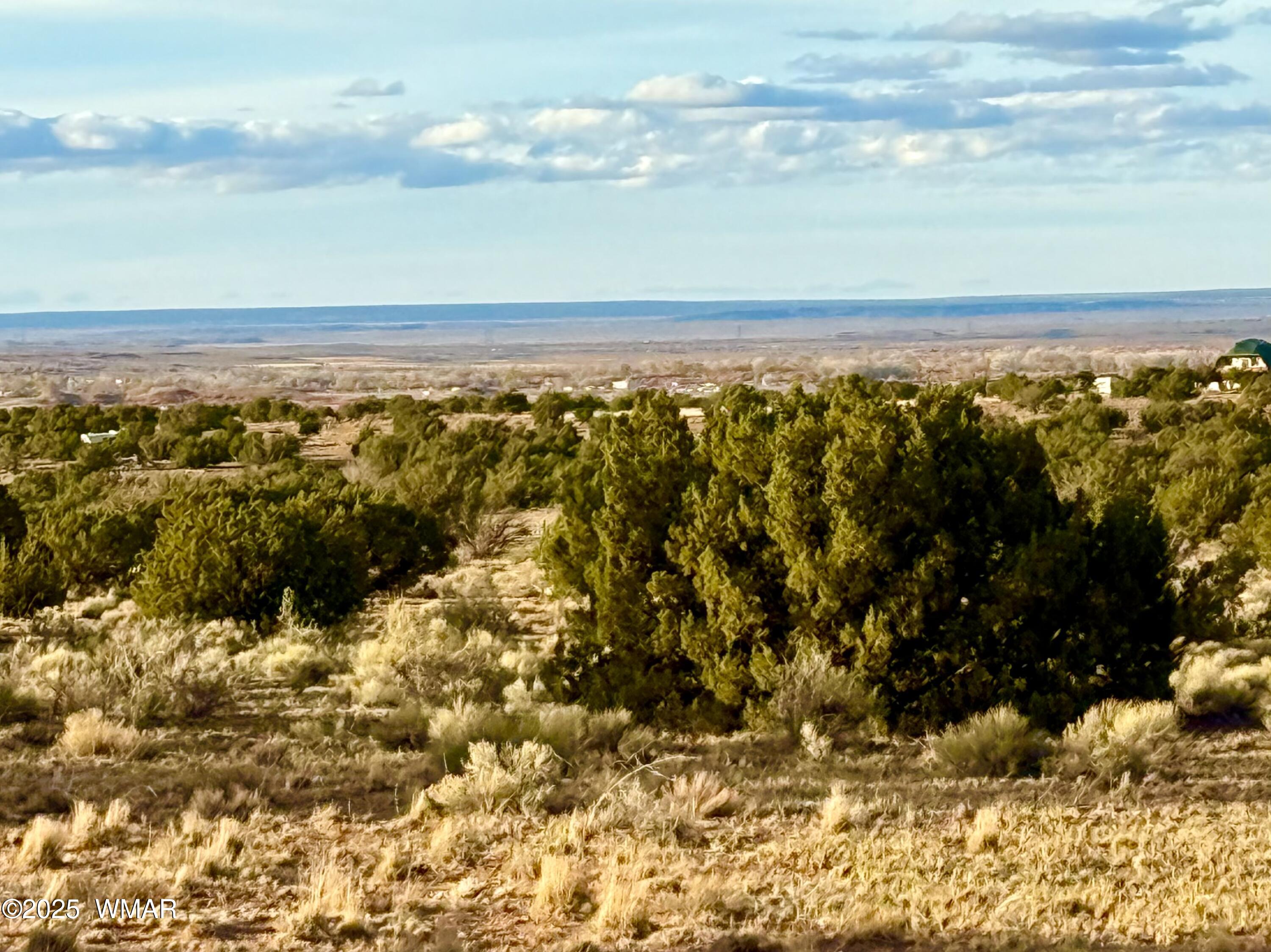 480 County Rd N6400 St. Johns, AZ 85936 - Photo 3 of 26 IMG_3213