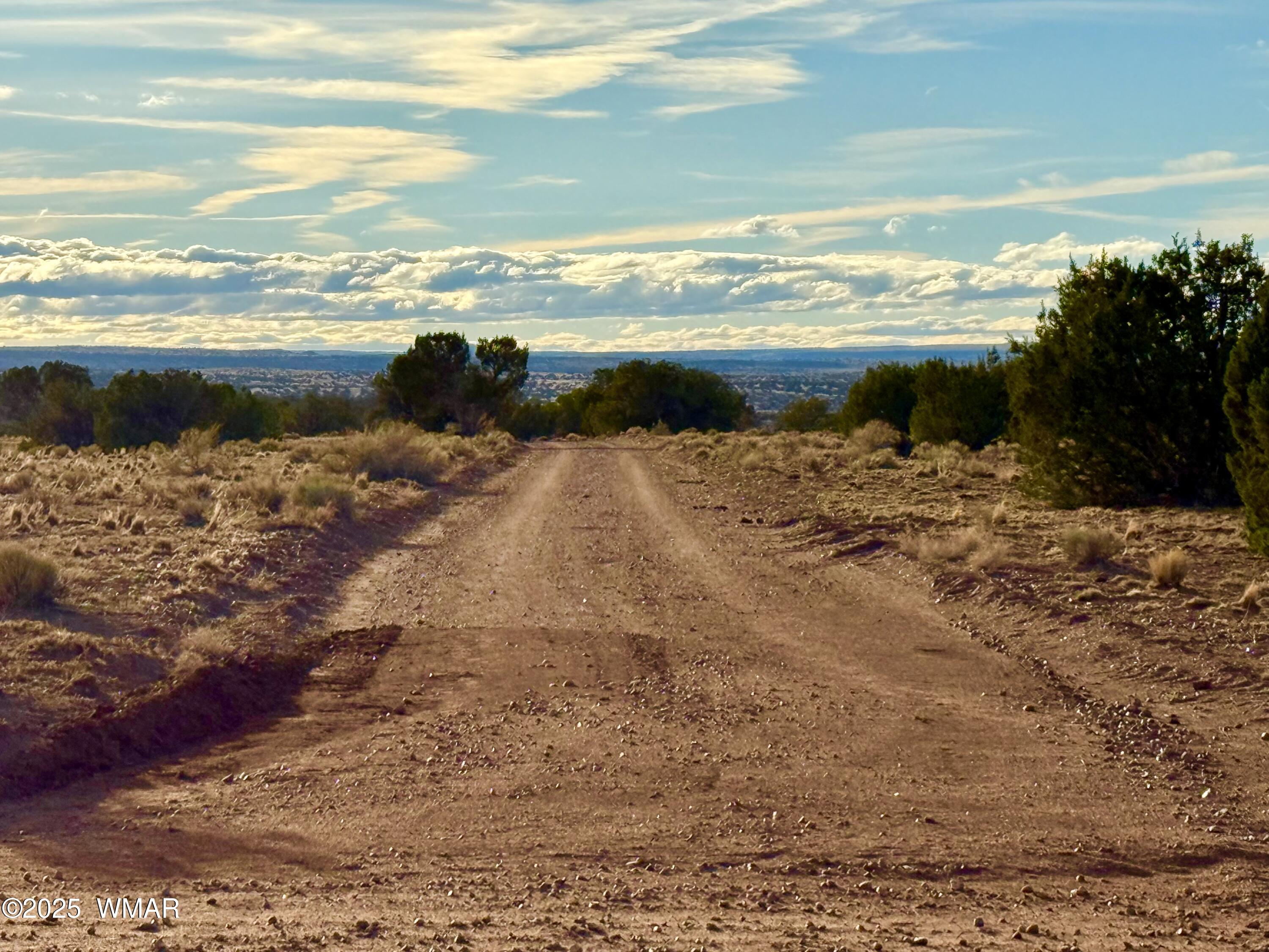 480 County Rd N6400 St. Johns, AZ 85936 - Photo 5 of 26 IMG_3150
