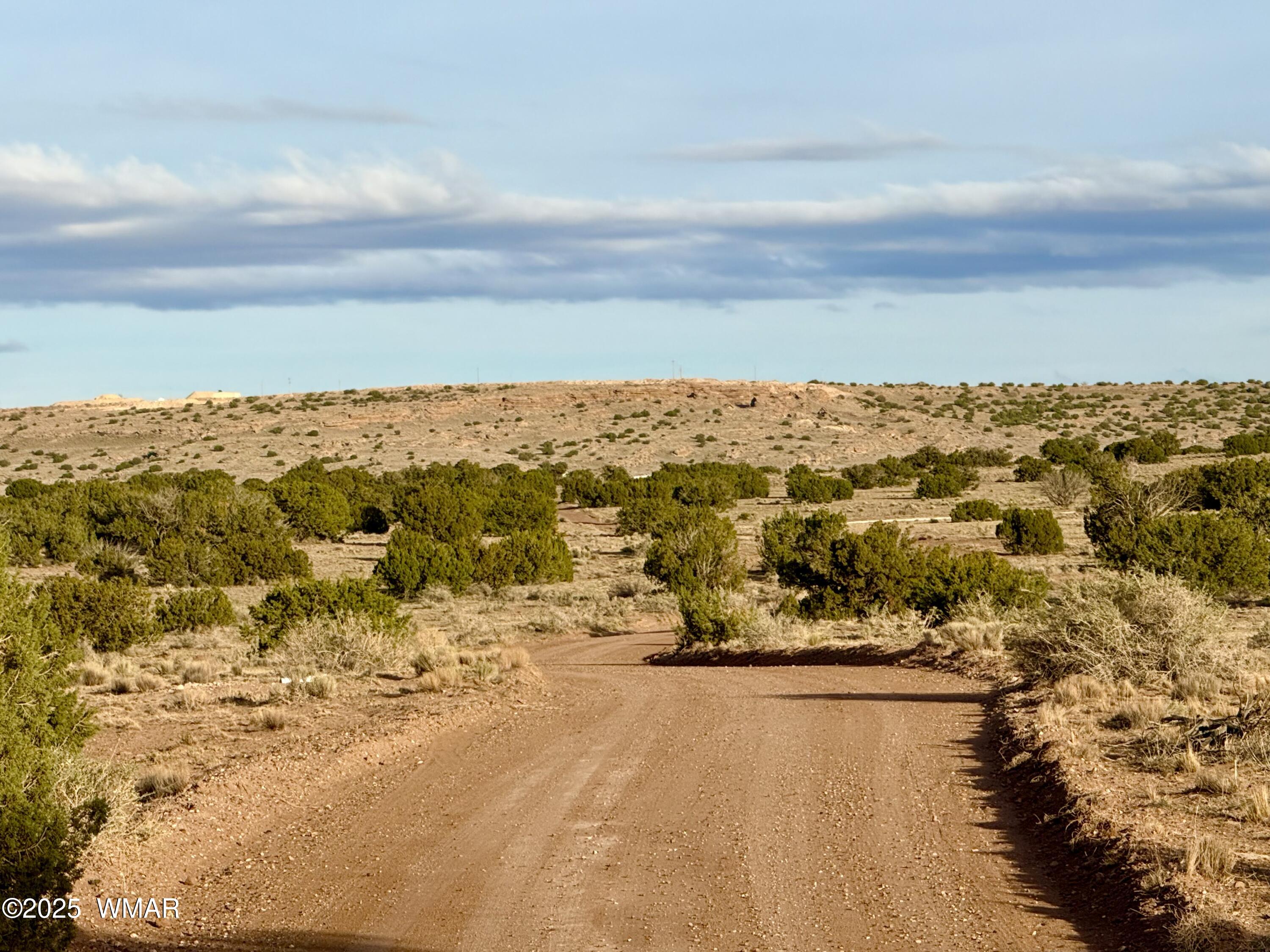 480 County Rd N6400 St. Johns, AZ 85936 - Photo 10 of 26 IMG_3165