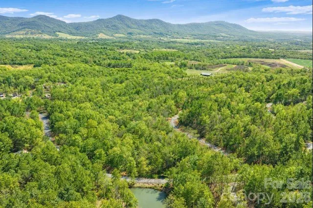 a view of a lush green forest with trees in the background