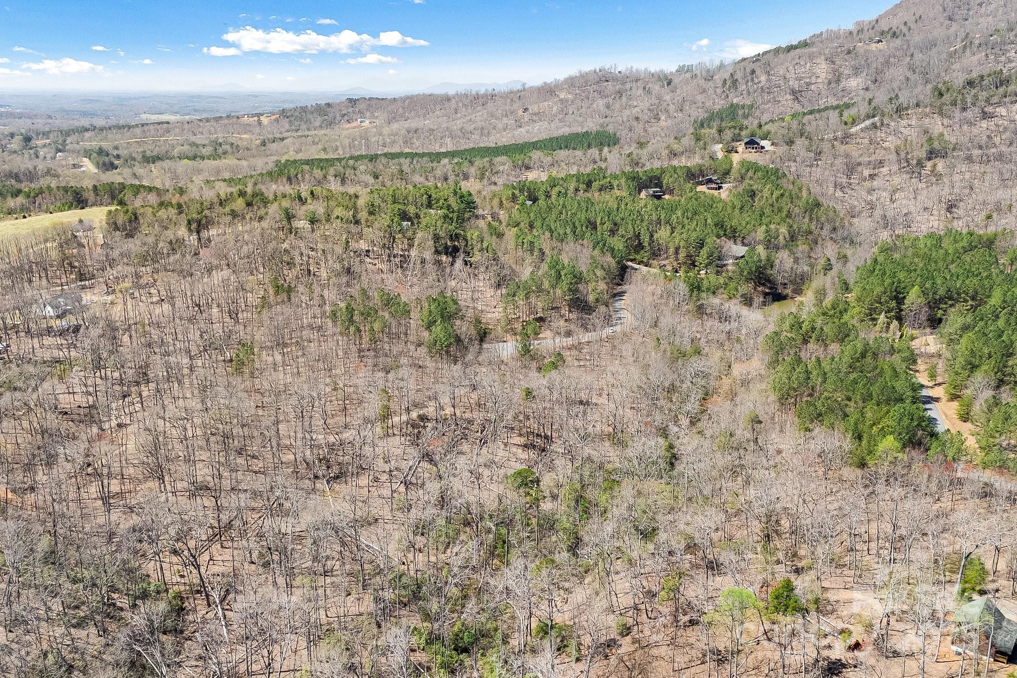 0 Autumn Lane, Unit 268 Bostic, NC 28018 - Photo 11 of 22 a view of city and mountain