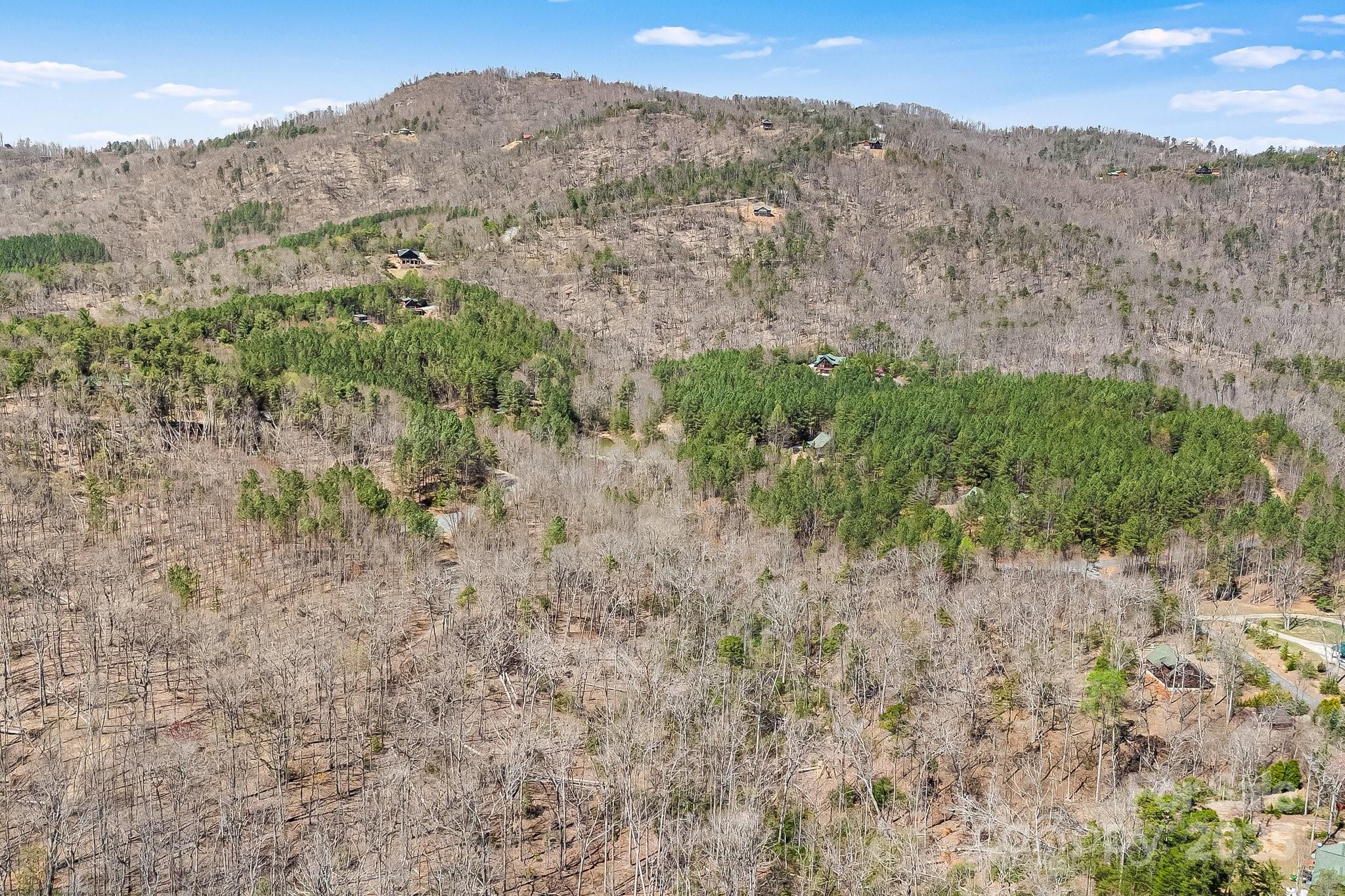0 Autumn Lane, Unit 268 Bostic, NC 28018 - Photo 12 of 22 a view of a dry field with mountains in the background