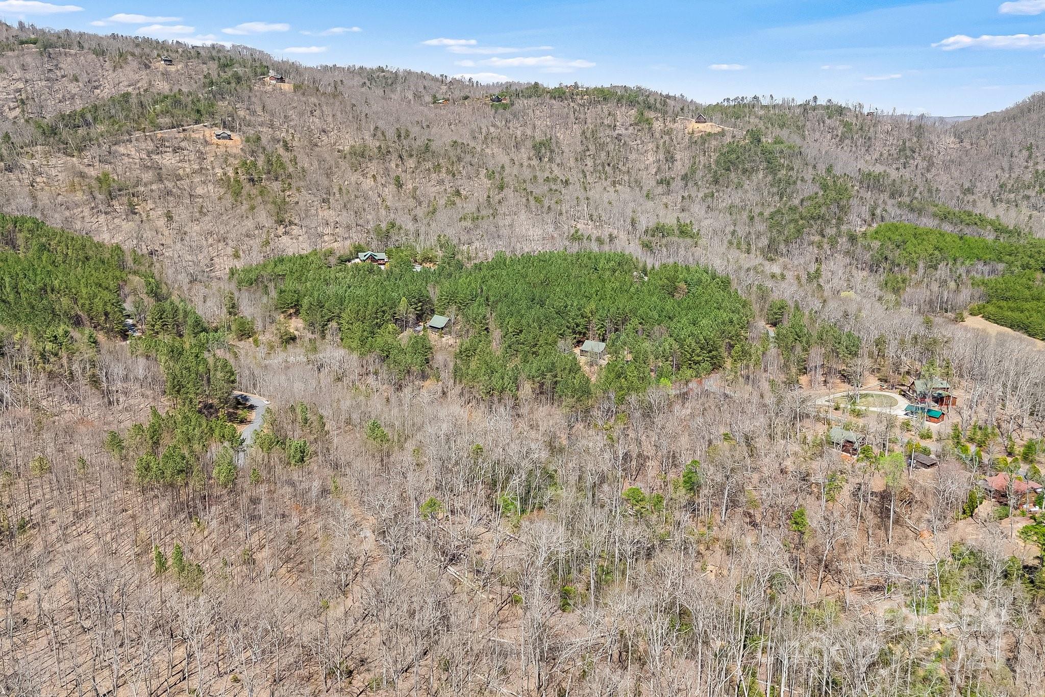 0 Autumn Lane, Unit 268 Bostic, NC 28018 - Photo 13 of 22 a view of a lush green forest with lush green forest