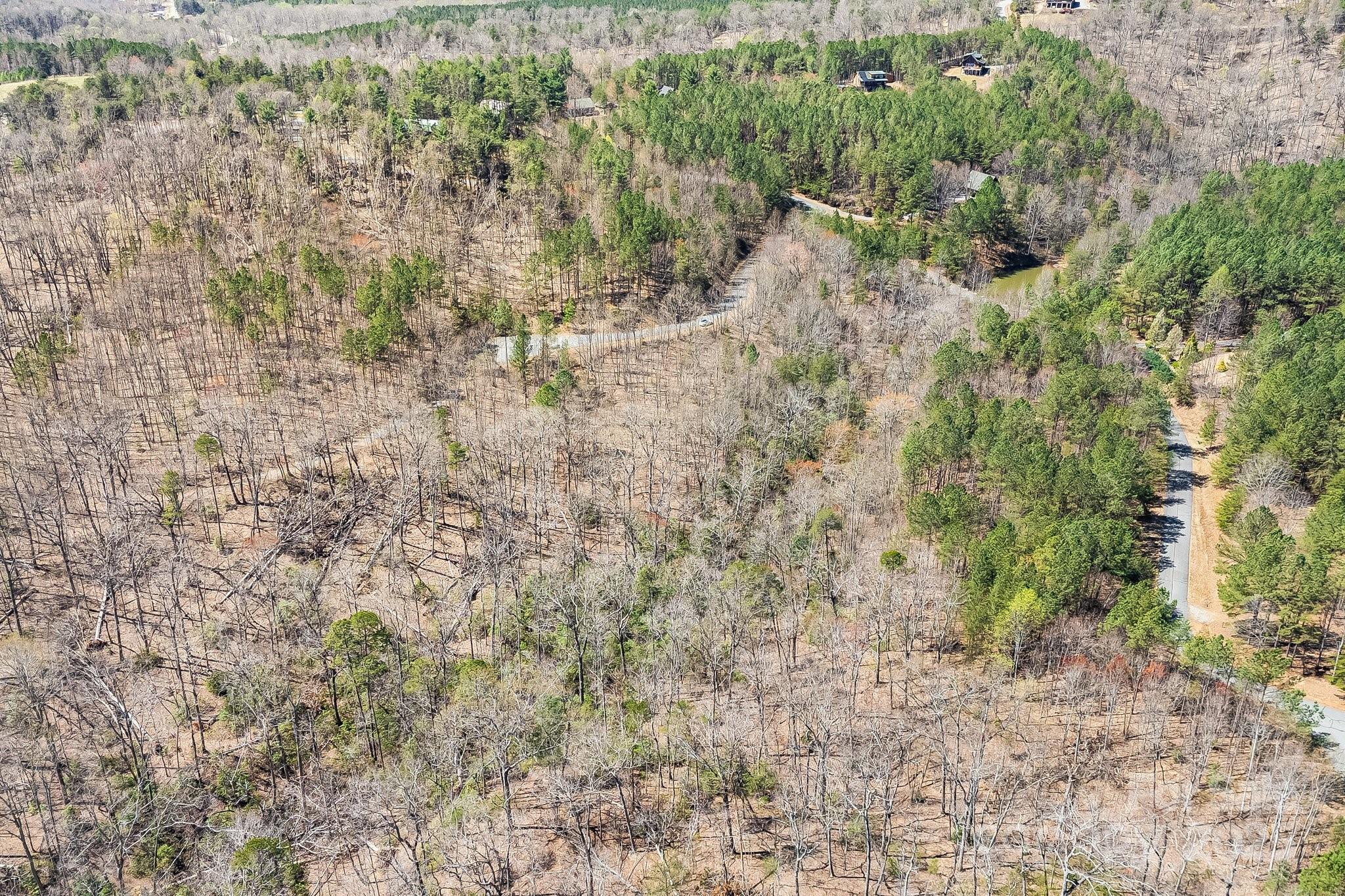 0 Autumn Lane, Unit 268 Bostic, NC 28018 - Photo 14 of 22 a view of a dry yard with large trees