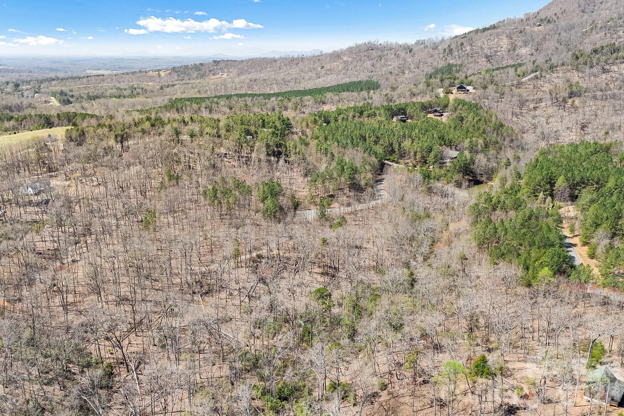 0 Autumn Lane, Unit 268 Bostic, NC 28018 - Photo 14 of 25