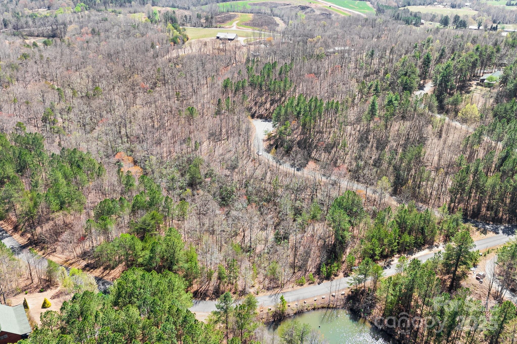 0 Autumn Lane, Unit 268 Bostic, NC 28018 - Photo 17 of 22 a view of a lake with a tree