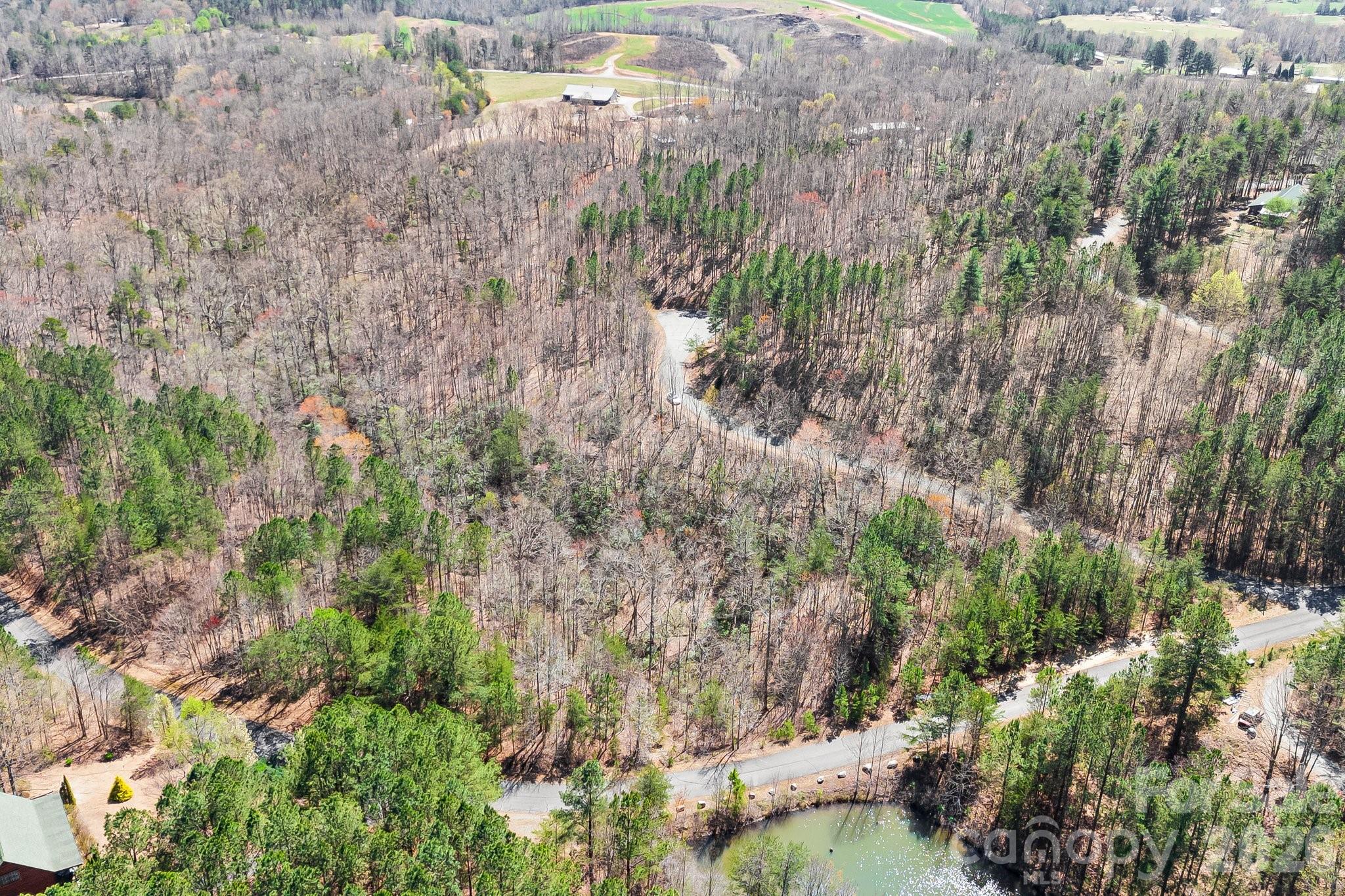 0 Autumn Lane, Unit 268 Bostic, NC 28018 - Photo 20 of 25