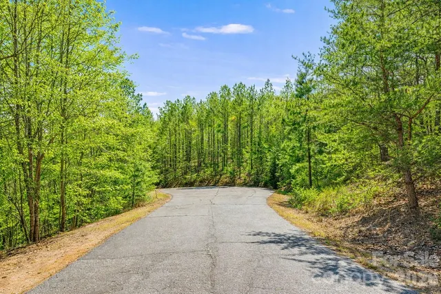 a view of a pathway in a garden