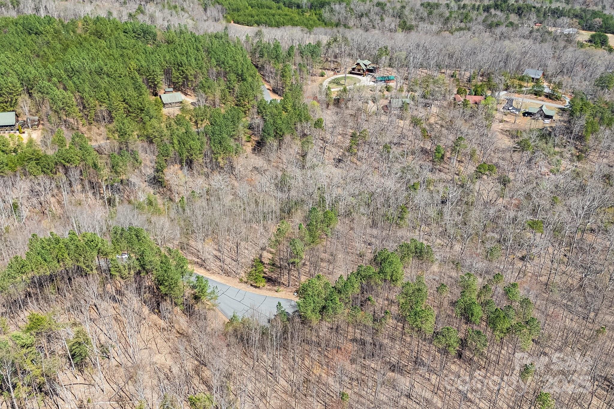 0 Autumn Lane, Unit 268 Bostic, NC 28018 - Photo 21 of 22 a view of a yard with a tree
