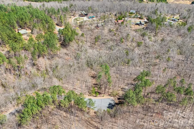 a view of a yard with trees