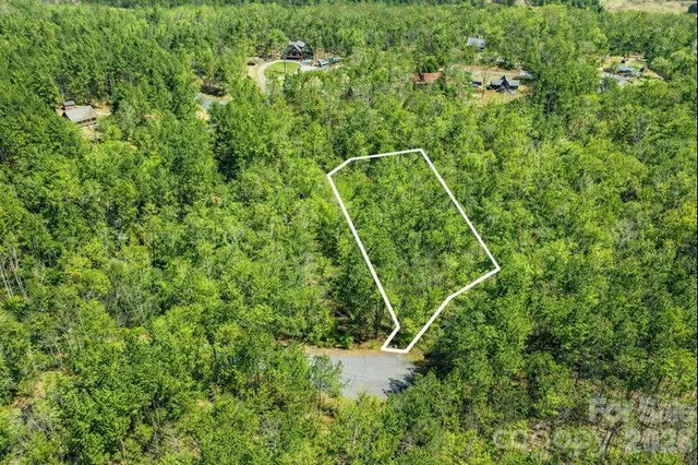 a view of a plant in a garden