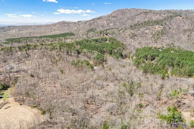 a view of a bunch of trees and bushes