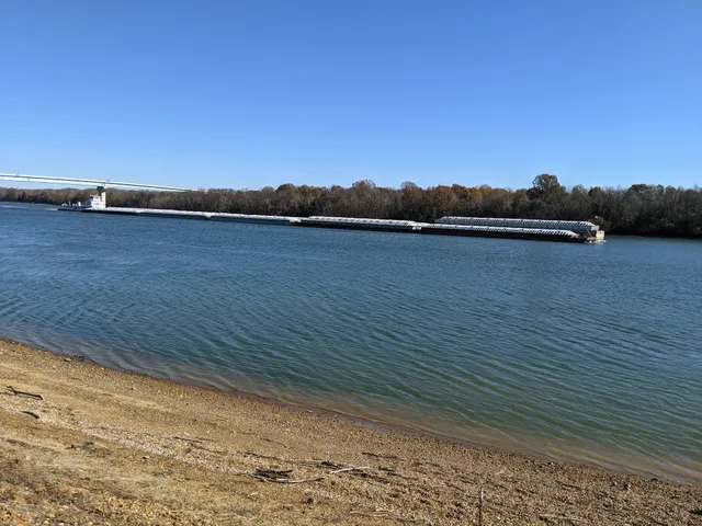 a view of a lake from a yard