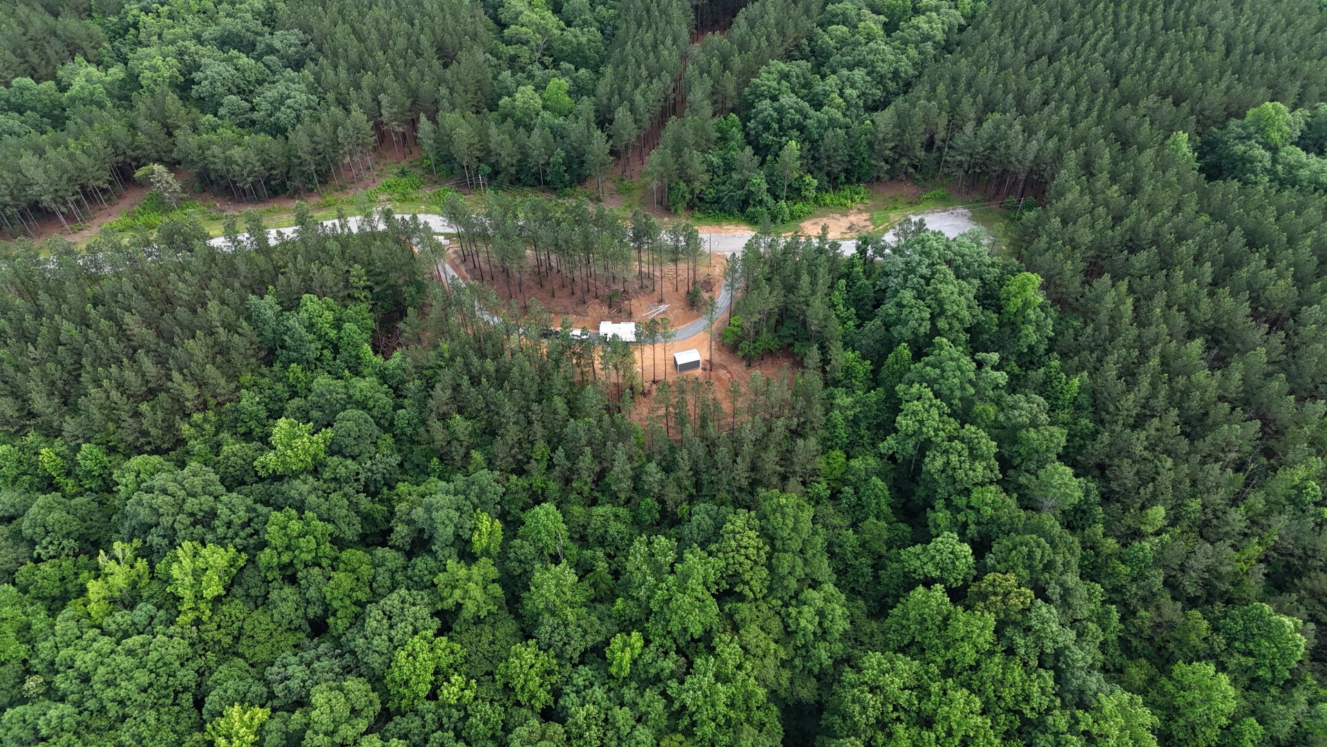 482 Center Ridge Drive Linden, TN 37096 - Photo 6 of 22 a view of a forest with a lake