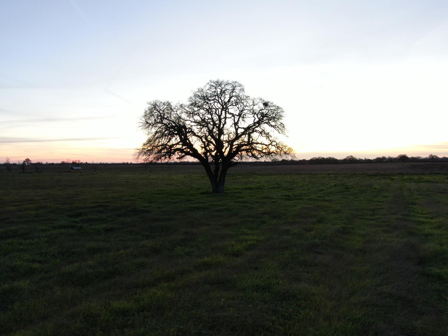 14777 Liberty Road Galt, CA 95632 - Photo 12 of 14 a view of a field with an ocean
