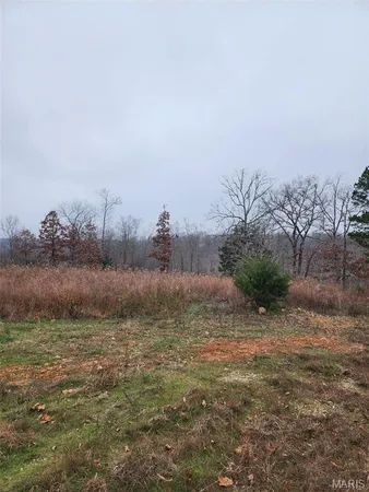 $39,900 | 0 Hillview Lane, Dixon, MO 65459
