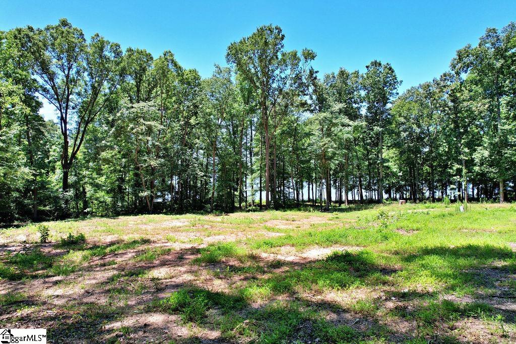 170 Meredith Lake Road Townville, SC 29689 - Photo 11 of 36 Gallery Image 11