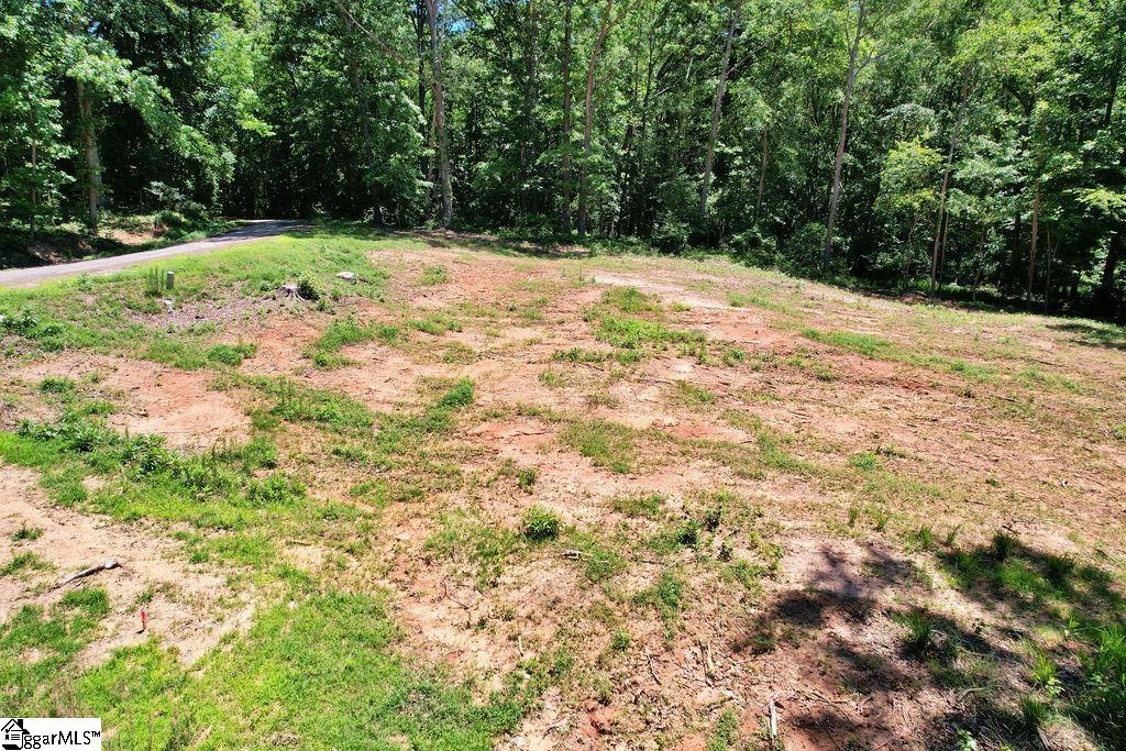 170 Meredith Lake Road Townville, SC 29689 - Photo 13 of 36 Gallery Image 13