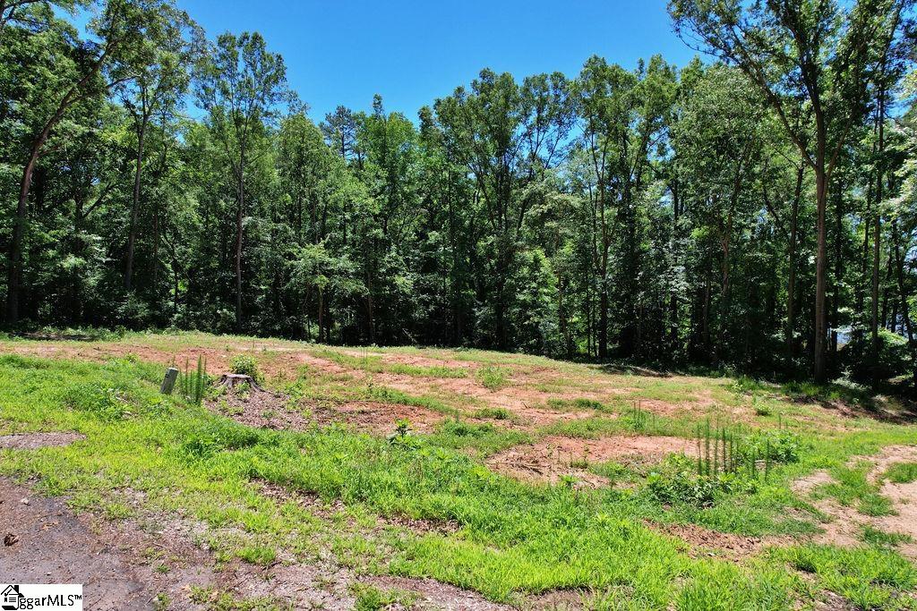 170 Meredith Lake Road Townville, SC 29689 - Photo 14 of 36 Gallery Image 14