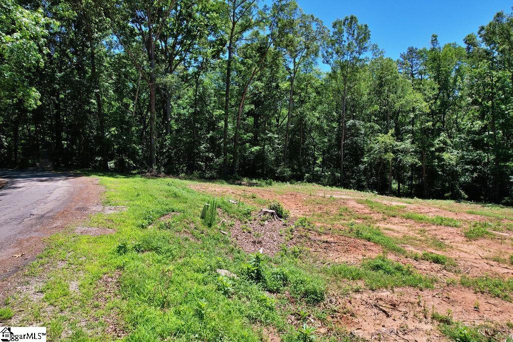 170 Meredith Lake Road Townville, SC 29689 - Photo 15 of 36 Gallery Image 15